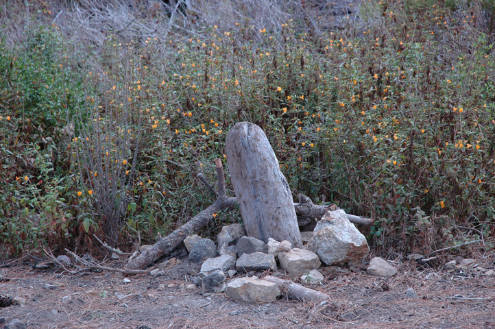 Point Lobos 035.jpg